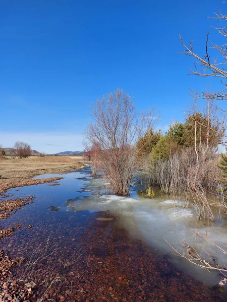 Bahar Sel Alanı Eriyen Buz ve Kar. Çıplak Ağaçların Yansıması ve Suyun İçindeki Açık Mavi Gökyüzü