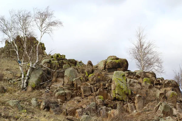 Felsiger Bergblick Mit Kahlen Birken Unter Blauem Himmel Mit Flauschigen — Stockfoto