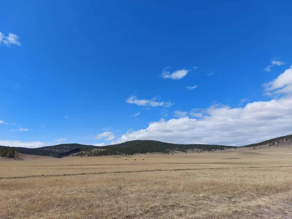 Tavaszi Völgy Kilátás Hegyek Láthatáron Alatt Kék Fehér Bolyhos Felhők — Stock Fotó