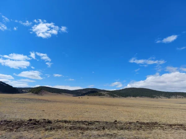 青い空と白いふわふわの雲の下の地平線の春の谷の景色と山 — ストック写真