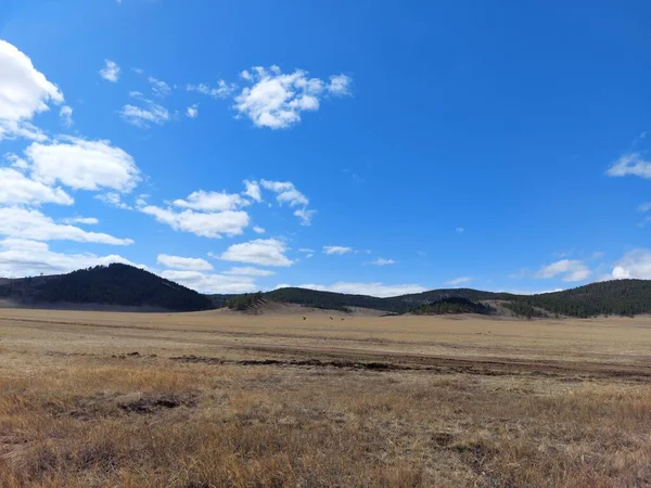 Jarní Výhled Údolí Hory Obzoru Pod Modrým Nebem Bílé Nadýchané — Stock fotografie