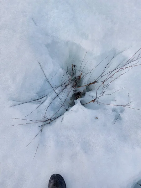 Spring Melting Snowdrifts River Bare Tree Bushes — Stockfoto