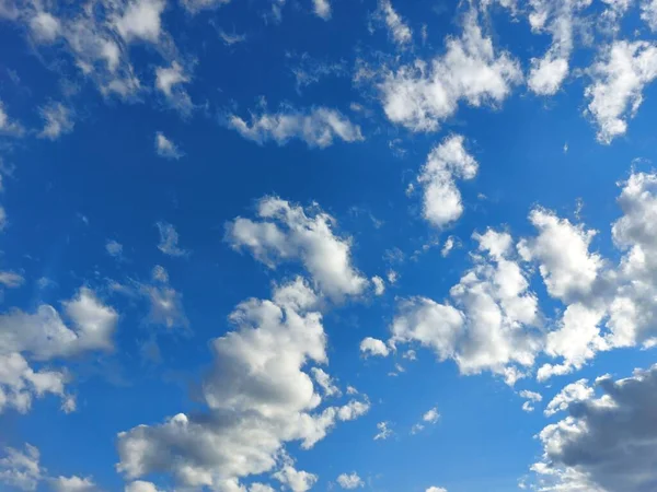 Photograph Bright Blue Sky White Clouds — Stock Photo, Image
