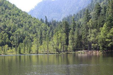 Taiga 'daki göl ormanlık alanda mavi gökyüzüne karşı