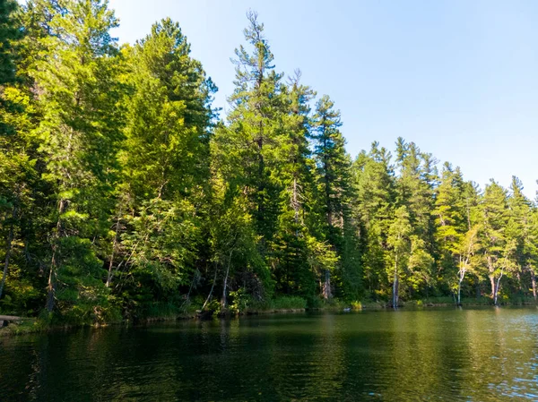 Озеро Тайге Лесной Пейзаж Против Голубого Неба — стоковое фото
