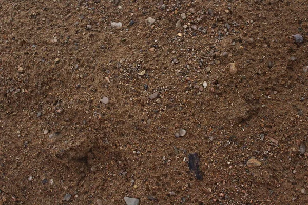 Wet River Sand Full Frame Background — Stock Photo, Image