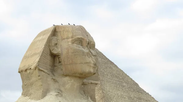 Célèbre Sphinx Avec Grandes Pyramides Dans Vallée Gizeh Caire Egypte — Photo