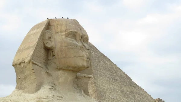 Célèbre Sphinx Avec Grandes Pyramides Dans Vallée Gizeh Caire Egypte — Photo