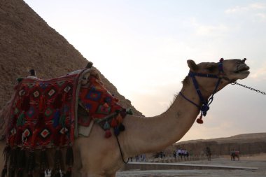 Giza 'nın en büyük tarihi piramitlerinden birinin alçak açılı görüntüsü, Dünyanın Yedi Harikası' ndan biri, Giza - Mısır