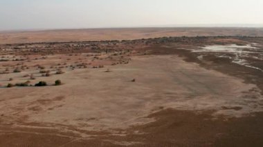 Canlı bitkiler, çöl otlakları, altın kum ve çarpıcı bir günbatımının yer aldığı kuru bir çöl manzarası. Bu sahnedeki doğal çöl ortamının güzelliğini hissedin..