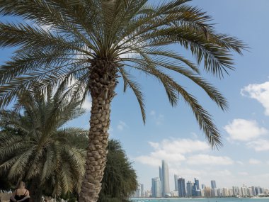 Abu dhabi şehri.