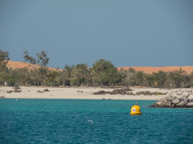 Abu Dabi şehir
