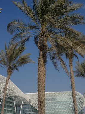 dubai şehir