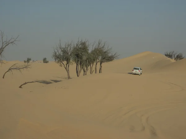 Città di Dubai — Foto Stock