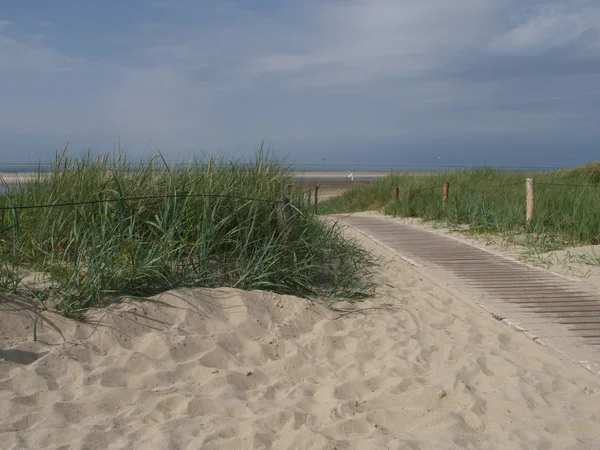 L'île de langeoog — Photo