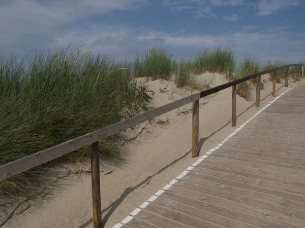 Langeoog の島 — ストック写真