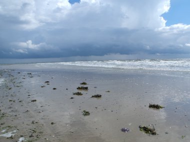 Adanın Norderney