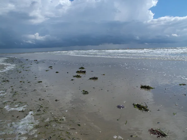 La Isla de Norderney — Foto de Stock