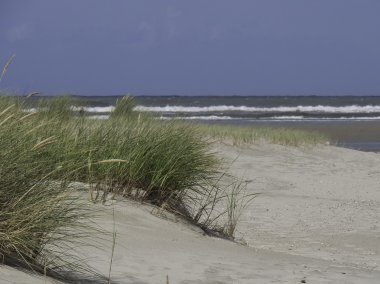 Kuzey Denizi'nde spiekeroog