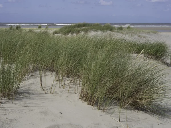 Spiekeroog in the North sea — Stock Photo, Image