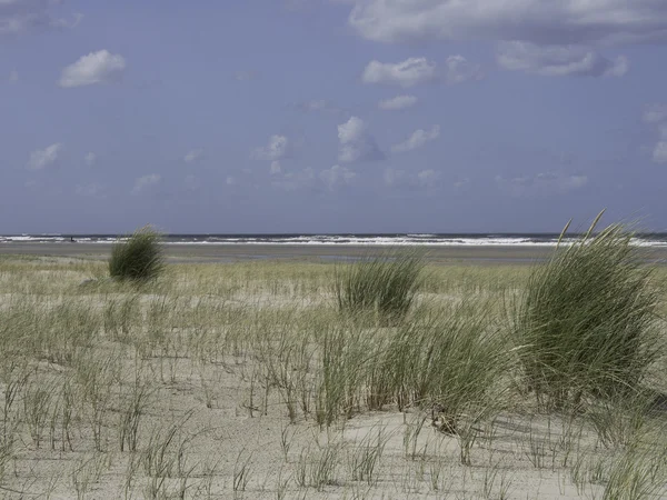 The Island of spiekeroog — Stock Photo, Image