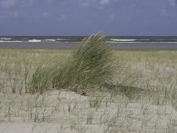 Het eiland van spiekeroog — Stockfoto