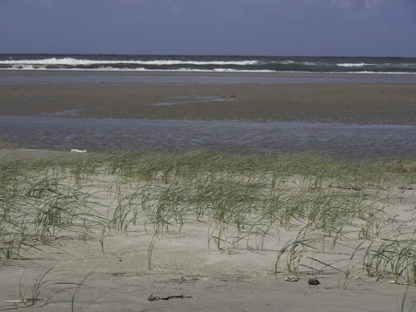 Die Insel Spiekeroog — Stockfoto