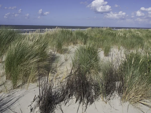 A ilha de spiekeroog — Fotografia de Stock