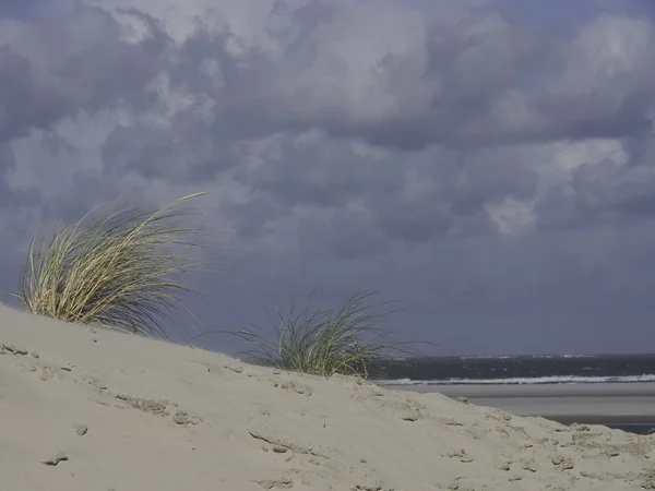 Spiekeroog in de Noordzee — Stockfoto