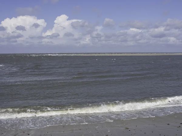 Na ostrově spiekeroog — Stock fotografie