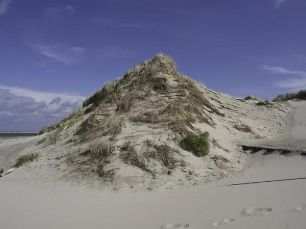 L'île de spiekeroog — Photo