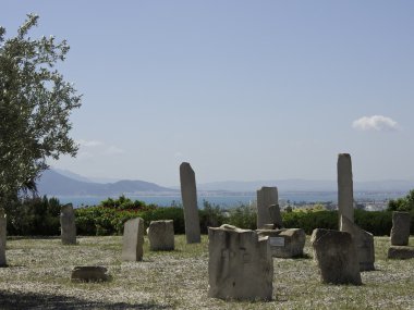 Şehir ot Tunus