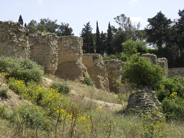 Kuzey Afrika Tunus City — Stok fotoğraf