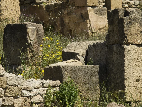 Η πόλη της Τύνιδας στη Βόρεια Αφρική — Φωτογραφία Αρχείου