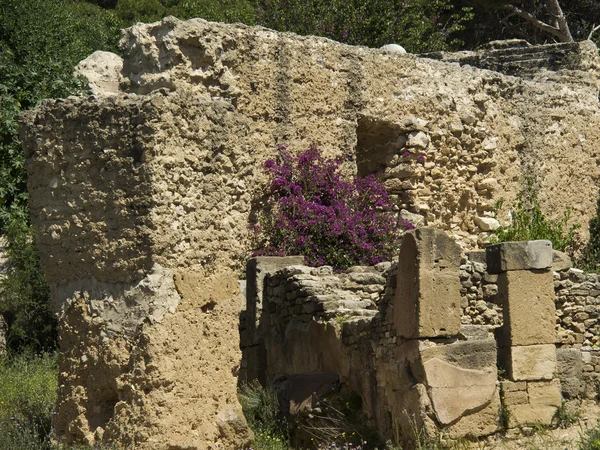 Kuzey Afrika Tunus City — Stok fotoğraf