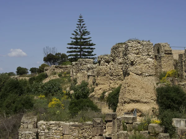 Miasta w Tunisie w Afryce Północnej — Zdjęcie stockowe