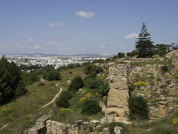 Miasta w Tunisie w Afryce Północnej — Zdjęcie stockowe