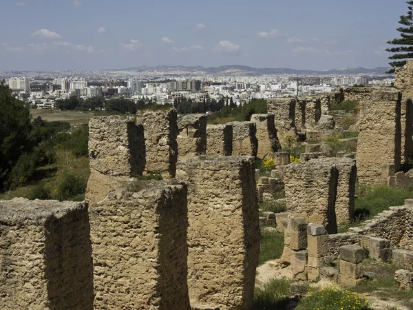 Tunis w Afryce — Zdjęcie stockowe