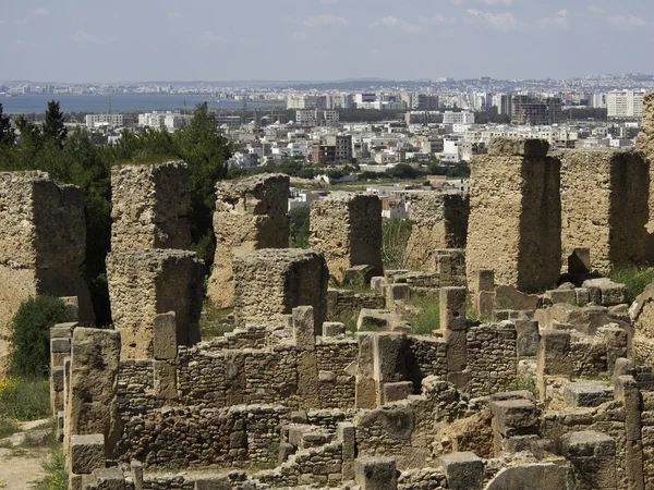 Tunis in Afrika — Stockfoto