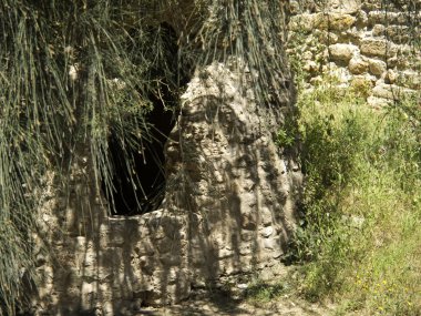 Tunus City