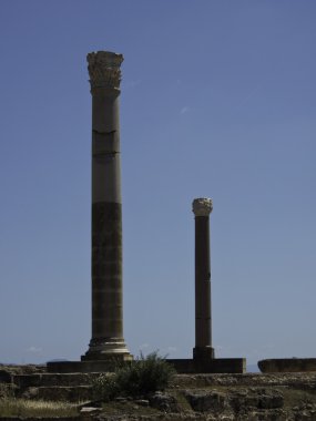 Tunus City