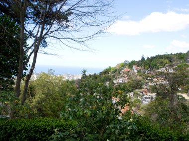 madeira dağlarda