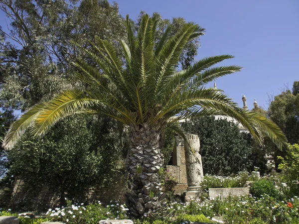 Staden tunis — Stockfoto