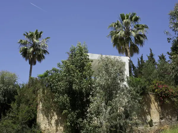 The City of tunis — Stock Photo, Image