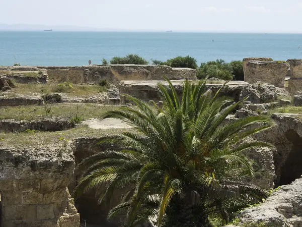 The City of tunis — Stock Photo, Image