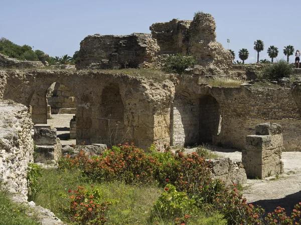 Den staden tunis — Stockfoto