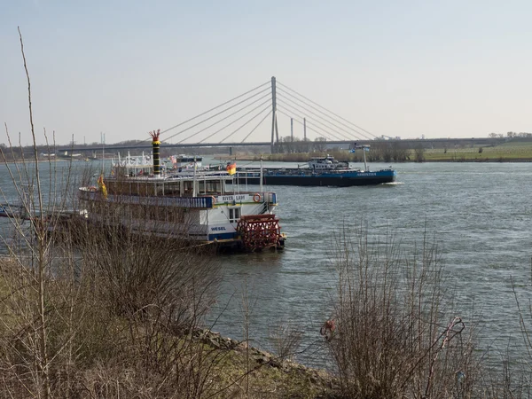 De rivier de Rijn — Stockfoto