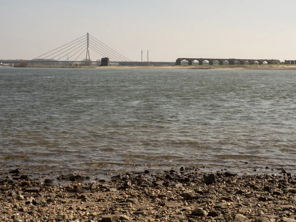 De rivier de Rijn — Stockfoto