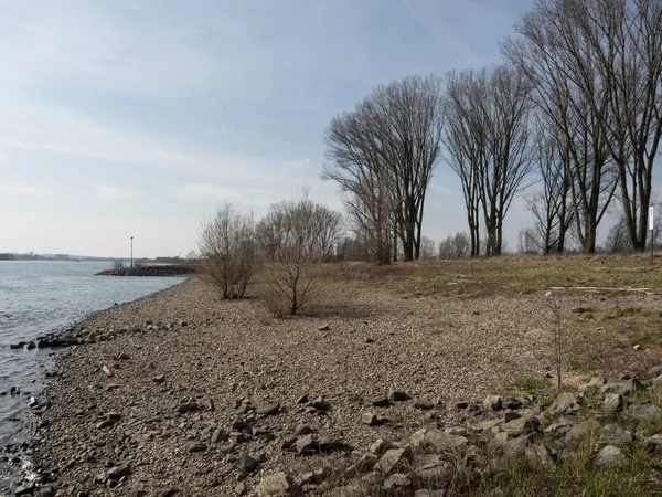 De rivier de Rijn — Stockfoto