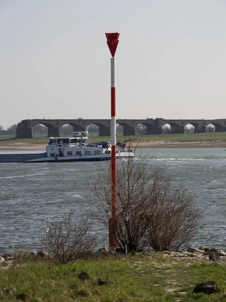 The river rhine — Stock Photo, Image